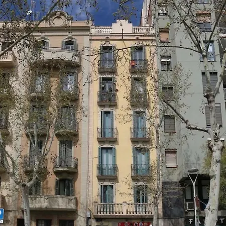 Mdgaudisquare *